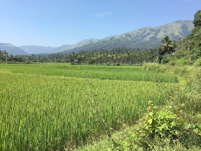Wayanad Rural Area Road Trip to Wayanad – GugaBaba… My Travellogues…