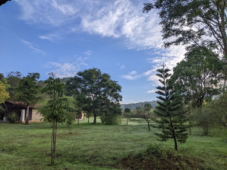 PXL_20220415_014521135